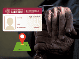 La credencial INAPAM es una herramienta de apoyo para los adultos mayores en México. ESPECIAL