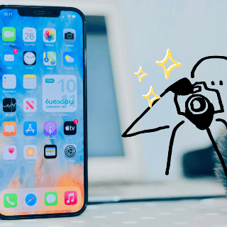 Estos son los celulares con mejor cámara frontal en 2025