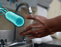 Para prevenir este tipo de infección es crucial mantener un correcto lavado de manos y de los alimentos. NTX / ARCHIVO