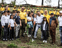 De acuerdo con el gobernador de Jalisco, Pablo Lemus Navarro, como parte de las jornadas de reforestación de este 2025 se prevé plantar un total de 136 mil árboles. EL INFORMADOR/A. Navarro