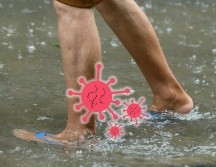 Es importante informarse sobre la manera en que deben evitarse o tratarse en caso de llegar a padecerlas. ESPECIAL / CANVA