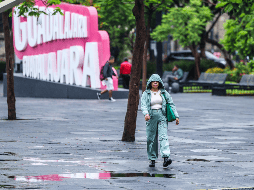 De acuerdo con el Servicio Meteorológico Nacional (SMN), tales lluvias se precipitarán por un canal de baja presión sobre la Mesa Central, el ingreso de aire húmedo del océano Pacífico y Golfo de México. EL INFORMADOR / ARCHIVO