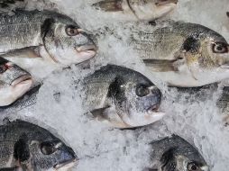 Al prestar atención a su origen, estado, y a las condiciones de conservación, puedes disfrutarlo sin correr riesgos innecesarios. Ser un consumidor informado es la mejor forma de proteger tu salud y la de tu familia. CANVA