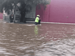 Las autoridades continuarán con los trabajos de monitoreo y atención hasta que la situación esté completamente bajo control. CORTESÍA.