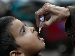 Con este acuerdo, la India se convierte en el centro neurálgico de la producción de vacunas contra la malaria, ya que fabricará las dos principales vacunas recomendadas por la OMS. AP / ARCHIVO