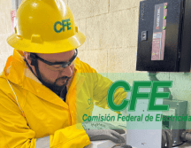 Este corte responde a la necesidad de crear condiciones adecuadas para que el personal técnico de la CFE realice mejoras en la infraestructura eléctrica. ESPECIAL/CFE