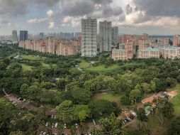Singapur es considerada a menudo como una Ciudad Jardín, con numerosas especies de árboles y flores en toda la isla, parques verdes, reservas y exuberantes exhibiciones de plantas. EFE / ARCHIVO