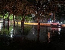 En las labores de limpieza trabajan más de 300 funcionarios de diversas dependencias del Ayuntamiento de Guadalajara. ESPECIAL / Protección Civil y Bomberos de Zapopan