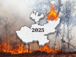 Jalisco sigue dentro del promedio histórico de incendios. ESPECIAL / CANVA