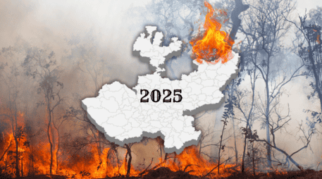 Jalisco sigue dentro del promedio histórico de incendios. ESPECIAL / CANVA