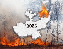 Jalisco sigue dentro del promedio histórico de incendios. ESPECIAL / CANVA
