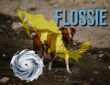 Se forma tormenta tropical Flossie; este será su desplazamiento por las costas de México. EL INFORMADOR / ARCHIVO