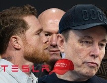 Esto dijo Saúl Álvarez sobre la presunta oferta millonaria de Tesla de Elon Musk. EFE  / ARCHIVO