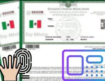 Uno de los aspectos destacados de esta nueva CURP será la captura de la fotografía facial del titular, que se tomará directamente en las oficinas del Registro Civil, junto con los demás datos biométricos. CANVA