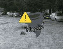 “Flossie” se desplaza paralelamente a las costas del Pacífico mexicano ahora como un huracán de categoría 2 en la escala Saffir-Simpson. EL INFORMADOR / ARCHIVO