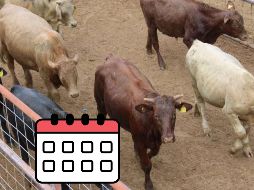 La reapertura de frontera será por fechas. SUN / ESPECIAL