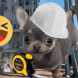 Los MEMES más ingeniosos para celebrar el Día del Ingeniero