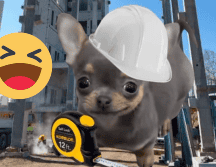 Las redes sociales están inundadas de memes muy ingeniosos y divertidos por el Día del Ingeniero. X/ESPECIAL