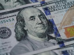 El desafío para cualquier inversor nuevo, dijo, es que es un entorno competitivo con muchas opciones diferentes. ARCHIVO/EL INFORMADOR.