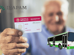 ¿Qué servicios de transporte ofrecen descuento con la tarjeta INAPAM en CDMX y Edomex? ESPECIAL / GOB MX