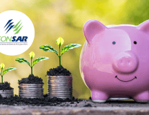 Haz una comparación cuidadosa entre las opciones disponibles para que tomes la mejor decisión según tus objetivos. CANVA