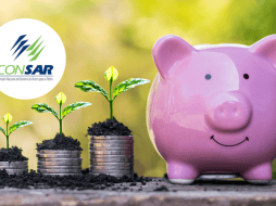 Haz una comparación cuidadosa entre las opciones disponibles para que tomes la mejor decisión según tus objetivos. CANVA