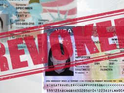 La visa TN está disponible únicamente para ciertas profesiones incluidas en un listado específico del T-MEC. X/USCIS_es