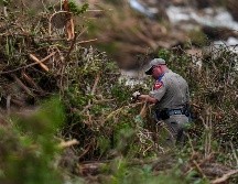 Se declaró este domingo como un día de oración para el estado. AP / J. CORTEZ
