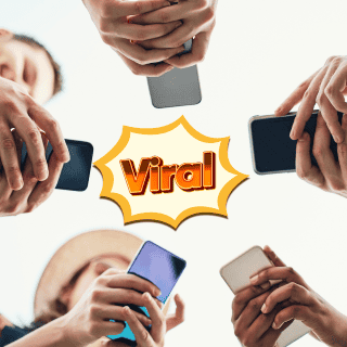 Ladys y lords ¿Por qué se hacen virales?