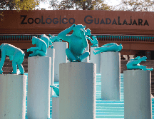 El Zoológico Guadalajara anunció un horario diferente a lo habitual, esto por las vacaciones de verano para que planees tu visita y goces al máximo de todas las atracciones. EL INFORMADOR/ ARCHIVO