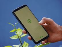 Algunos usuarios de WhatsApp ya pueden explorar esta nueva función en sus dispositivos. Canva