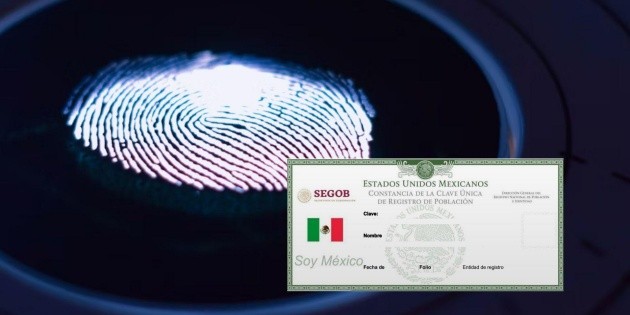 CURP biom&eacute;trica 2026: &iquest;En qu&eacute; tr&aacute;mites ser&aacute; obligatoria?