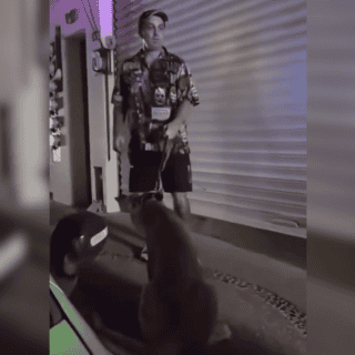 VIDEO capta a una pareja paseando una leona en Puerto Vallarta