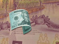 La cotización del peso frente al dólar varía conforme avanza el día. EL INFORMADOR / O. Álvarez