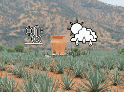 UNSPLASH/ A. Baki Durmus