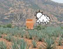 UNSPLASH/ A. Baki Durmus