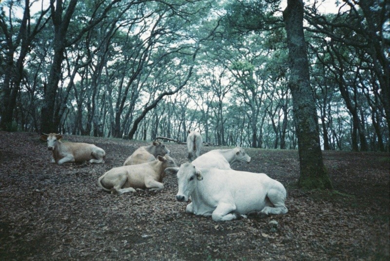 La Mesa del Ocote en El Caracol. ESPECIAL / F. Salcedo