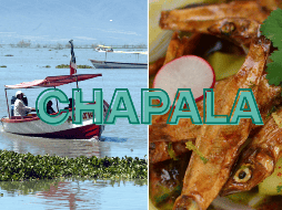 Los charales, son pequeños peces que habitan el Lago de Chapala en Jalisco. EL INFORMADOR/ ARCHIVO
