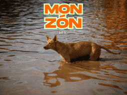 El monzón mexicano originará lluvias muy fuertes en regiones del país. EL INFORMADOR / ARCHIVO