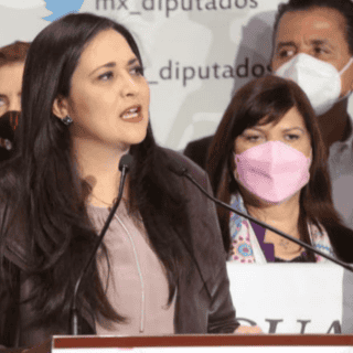 Senadora lanza propuesta para cancelar visa a extranjeros que cometan actos de racismo