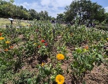 Por la mañana, se inauguró el Arboretum Flores de México en el Parque Natural Huentitán. EL INFORMADOR / O. González