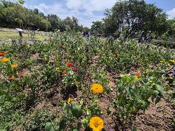 Por la mañana, se inauguró el Arboretum Flores de México en el Parque Natural Huentitán. EL INFORMADOR / O. González