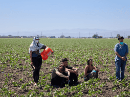 El aviso se produce un día después del operativo que resultó en la aprehensión de decenas de migrantes de varias nacionalidades, entre ellos mexicano. EFE/A. Dinner