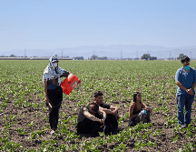 El aviso se produce un día después del operativo que resultó en la aprehensión de decenas de migrantes de varias nacionalidades, entre ellos mexicano. EFE/A. Dinner