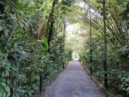 Ingreso a Maquenque Eco Lodge. ESPECIAL/X. MARTÍNEZ.