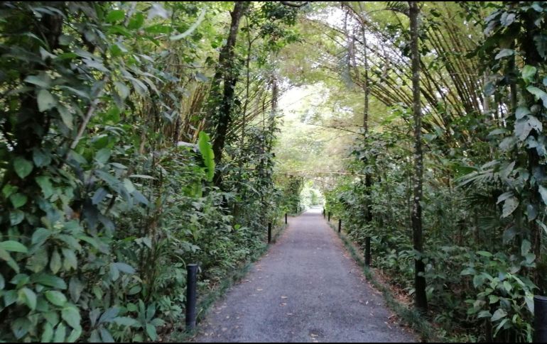 Ingreso a Maquenque Eco Lodge. ESPECIAL/X. MARTÍNEZ.