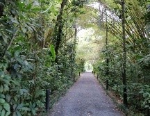 Ingreso a Maquenque Eco Lodge. ESPECIAL/X. MARTÍNEZ.