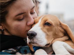 En una sociedad donde los modelos familiares están en constante transformación, los vínculos con las mascotas reflejan nuevas formas de construir relaciones afectivas y encontrar sentido en la convivencia cotidiana. CANVA