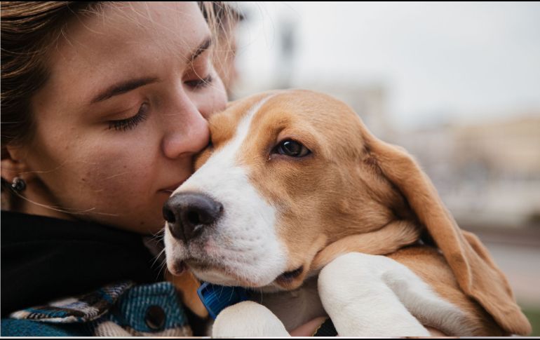 En una sociedad donde los modelos familiares están en constante transformación, los vínculos con las mascotas reflejan nuevas formas de construir relaciones afectivas y encontrar sentido en la convivencia cotidiana. CANVA