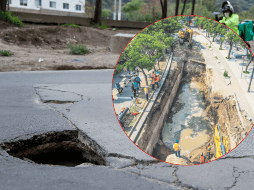 El brote repentino de este tipo de hoyancos representa un riesgo para la ciudadanía. EL INFORMADOR/ARCHIVO